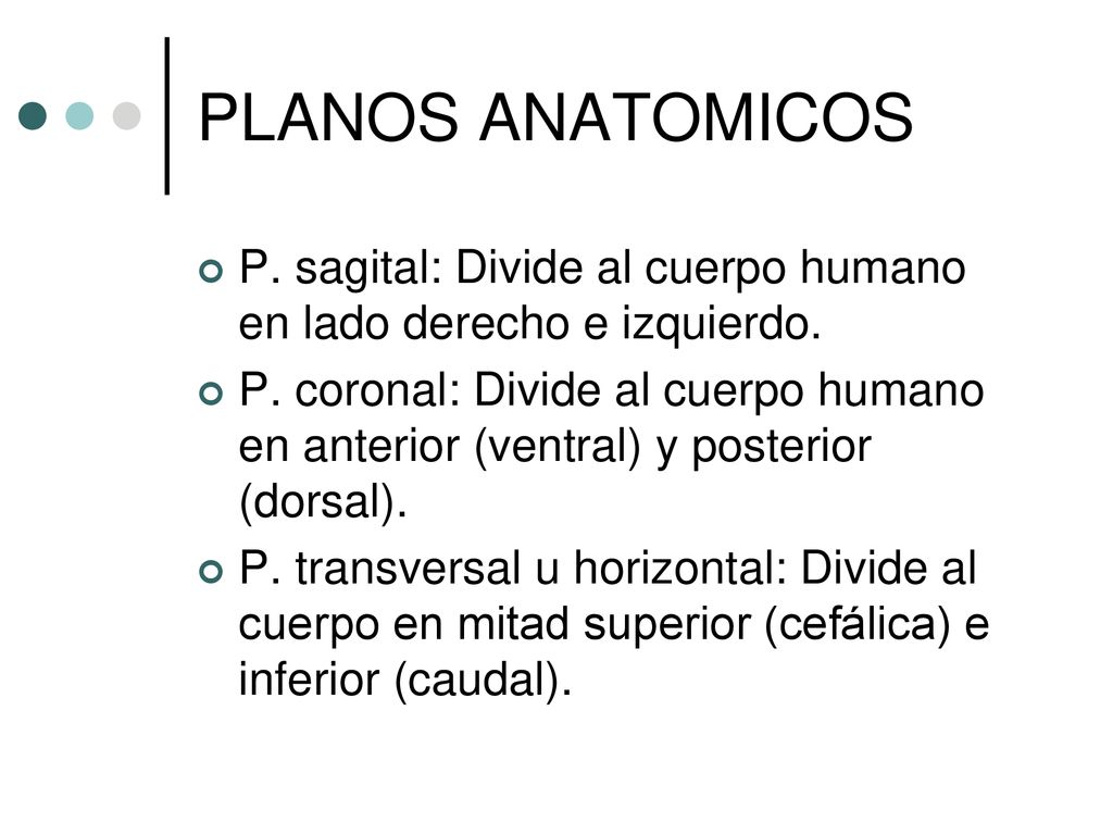 PLANOS ANATOMICOS P. sagital: Divide al cuerpo humano en lado derecho e izquierdo.