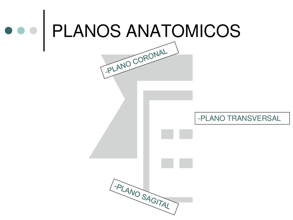 PLANOS ANATOMICOS -PLANO CORONAL -PLANO TRANSVERSAL -PLANO SAGITAL