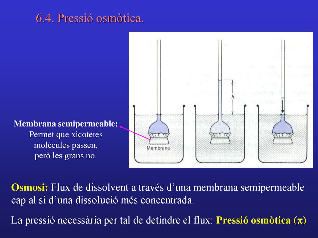 6.4. Pressió osmòtica. Membrana semipermeable: Permet que xicotetes molècules passen, però les grans no.