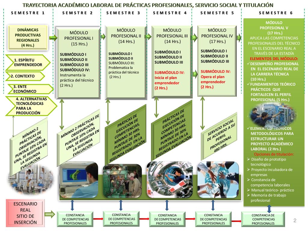 TRAYECTORIA ACADÉMICO LABORAL DE PRÁCTICAS PROFESIONALES, SERVICIO SOCIAL Y TITULACIÓN
