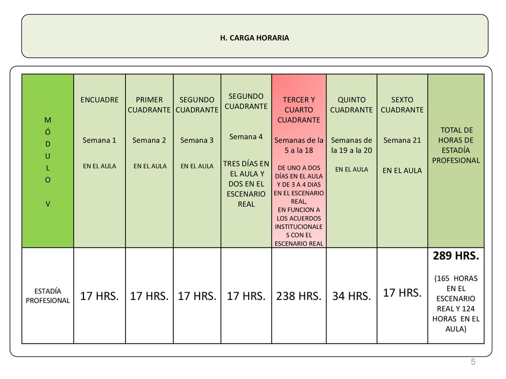 17 HRS. 238 HRS. 34 HRS. 289 HRS. H. CARGA HORARIA MÓDULO V ENCUADRE