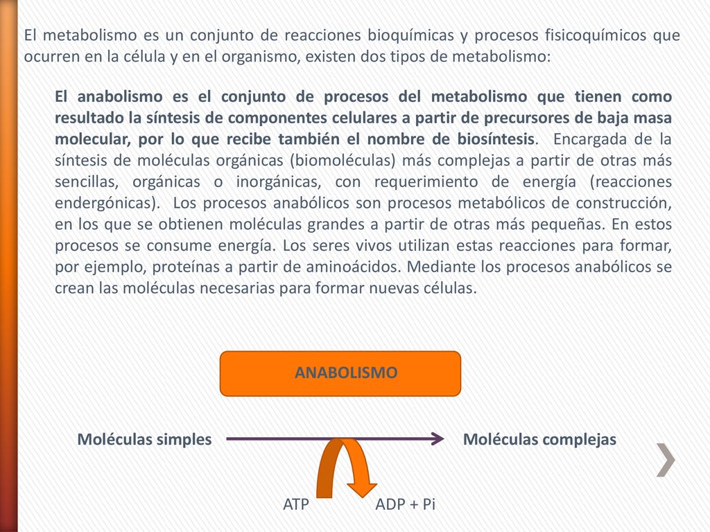 El metabolismo es un conjunto de reacciones bioquímicas y procesos fisicoquímicos que ocurren en la célula y en el organismo, existen dos tipos de metabolismo: