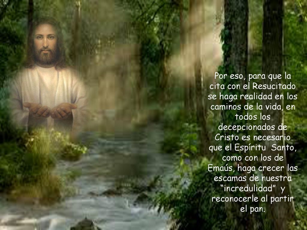Por eso, para que la cita con el Resucitado se haga realidad en los caminos de la vida, en todos los decepcionados de Cristo es necesario que el Espíritu Santo, como con los de Emaús, haga crecer las escamas de nuestra incredulidad y reconocerle al partir el pan.