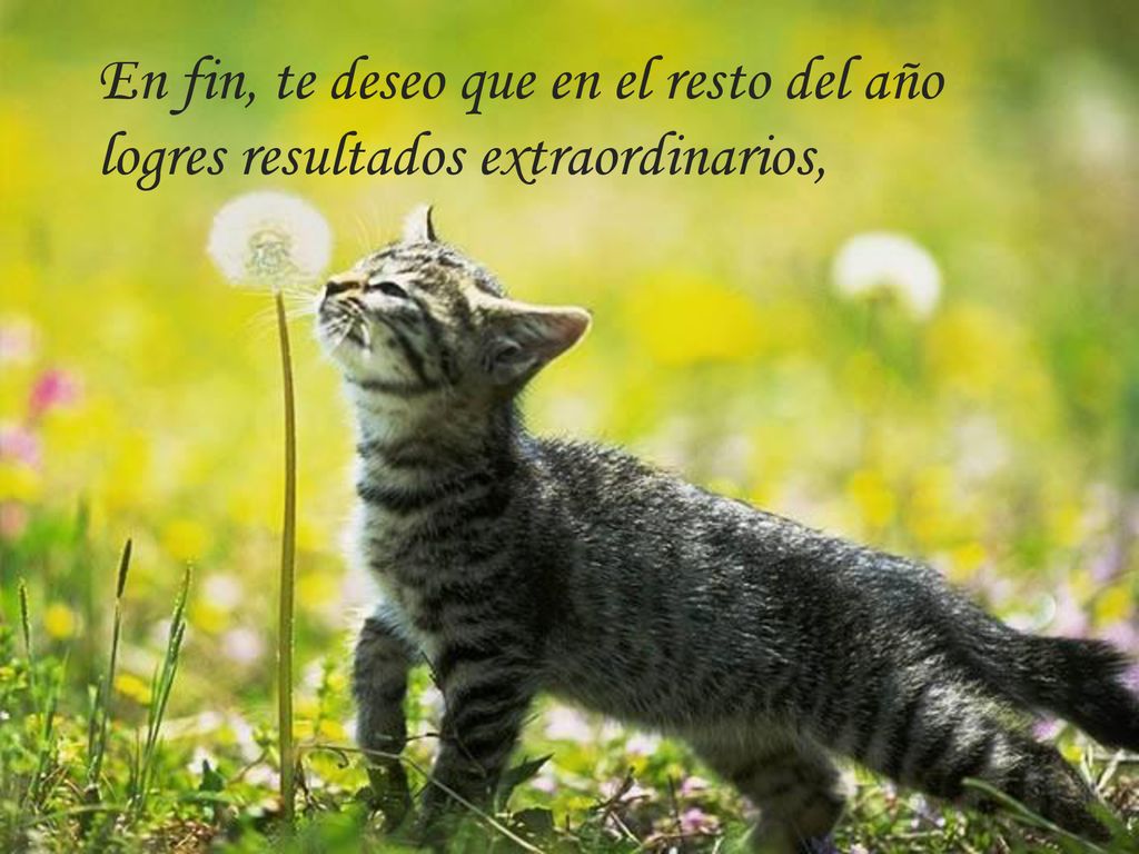En fin, te deseo que en el resto del año logres resultados extraordinarios,