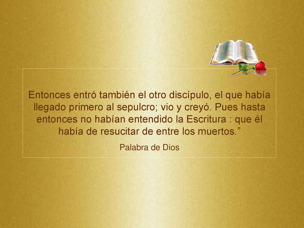 Entonces entró también el otro discípulo, el que había llegado primero al sepulcro; vio y creyó. Pues hasta entonces no habían entendido la Escritura : que él había de resucitar de entre los muertos.
