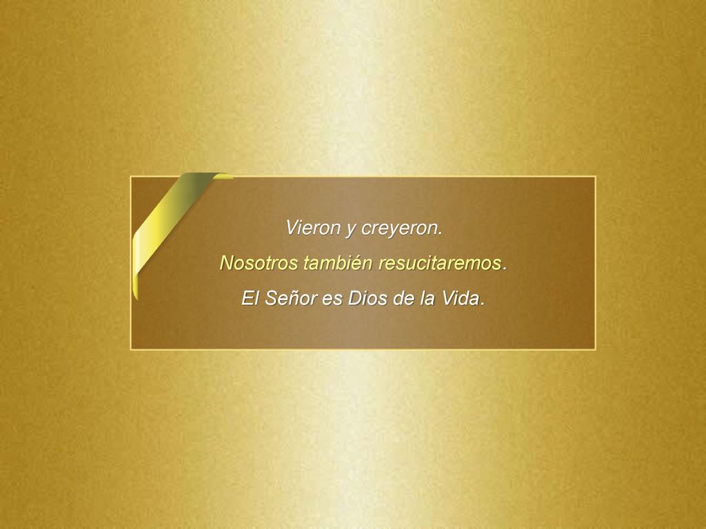 Nosotros también resucitaremos. El Señor es Dios de la Vida.