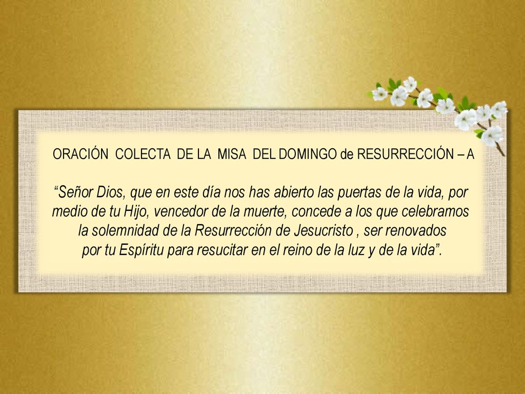 la solemnidad de la Resurrección de Jesucristo , ser renovados