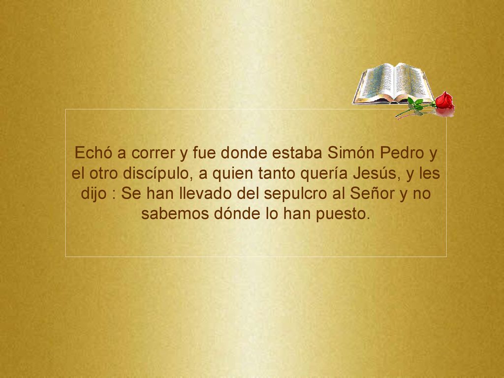 Echó a correr y fue donde estaba Simón Pedro y el otro discípulo, a quien tanto quería Jesús, y les dijo : Se han llevado del sepulcro al Señor y no sabemos dónde lo han puesto.
