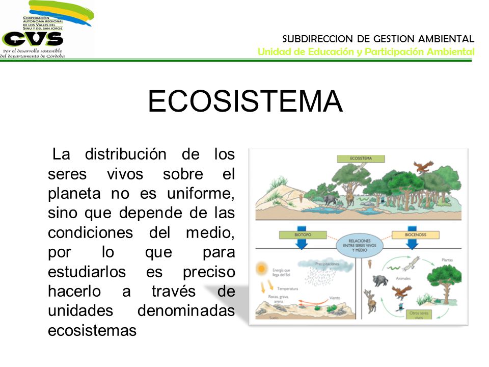 SUBDIRECCION DE GESTION AMBIENTAL Unidad de Educación y Participación Ambiental