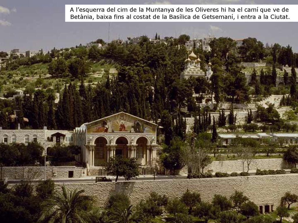 A l’esquerra del cim de la Muntanya de les Oliveres hi ha el camí que ve de