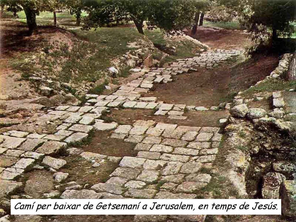 Camí per baixar de Getsemaní a Jerusalem, en temps de Jesús.