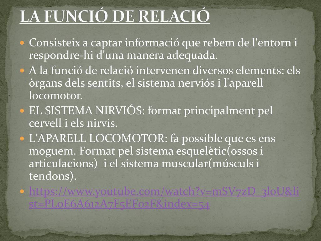 LA FUNCIÓ DE RELACIÓ Consisteix a captar informació que rebem de l entorn i respondre-hi d una manera adequada.