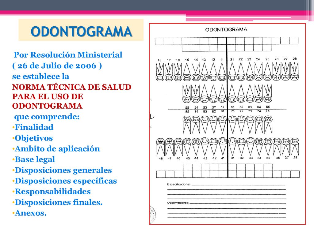 ODONTOGRAMA ( 26 de Julio de 2006 ) se establece la