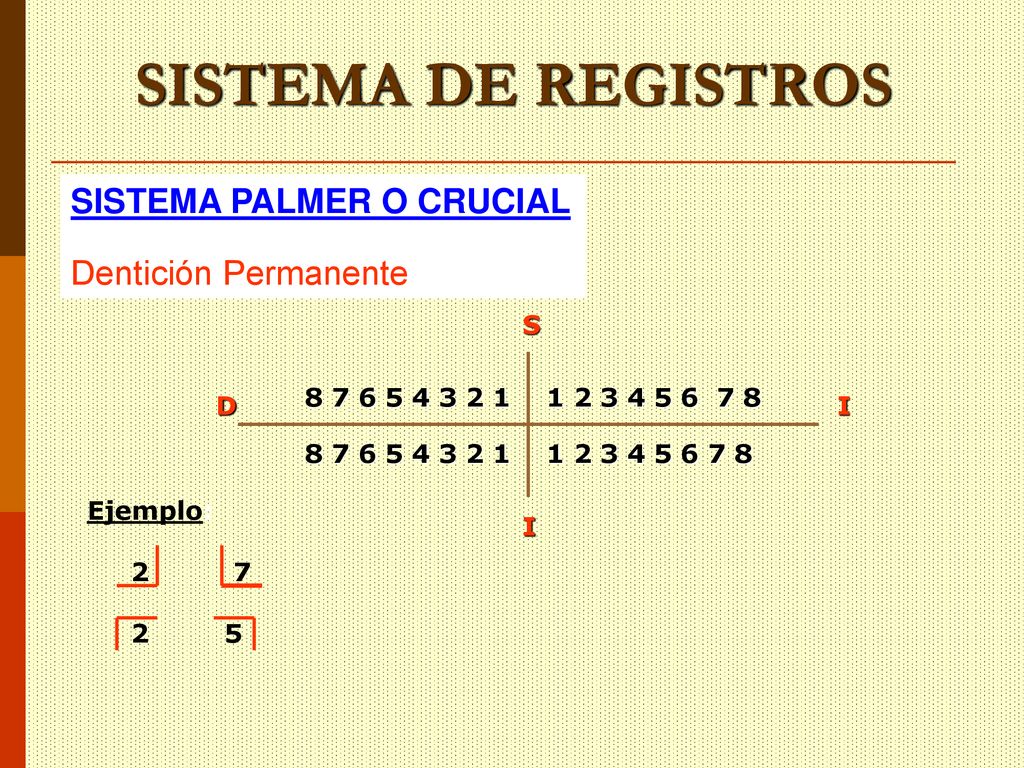 SISTEMA DE REGISTROS SISTEMA PALMER O CRUCIAL Dentición Permanente S