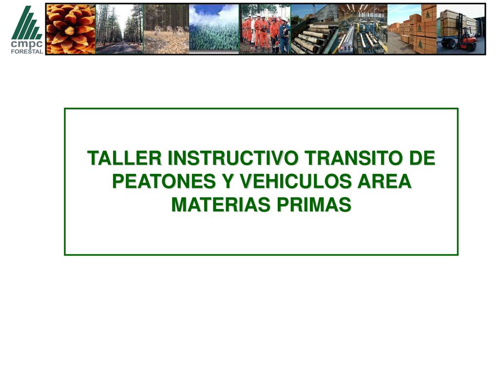 TALLER INSTRUCTIVO TRANSITO DE PEATONES Y VEHICULOS AREA MATERIAS PRIMAS