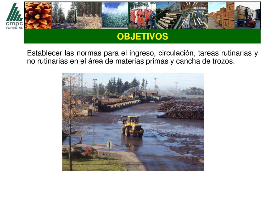 OBJETIVOS Establecer las normas para el ingreso, circulación, tareas rutinarias y no rutinarias en el área de materias primas y cancha de trozos.