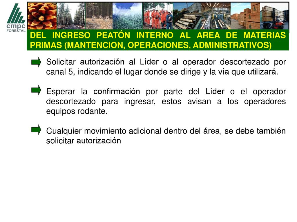 DEL INGRESO PEATÓN INTERNO AL AREA DE MATERIAS PRIMAS (MANTENCION, OPERACIONES, ADMINISTRATIVOS)