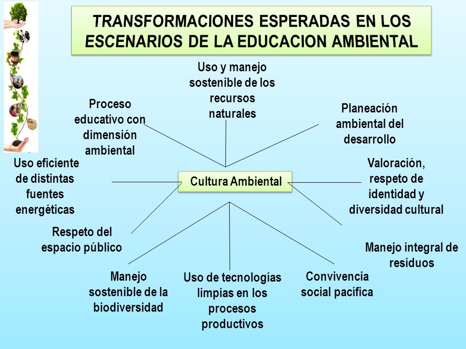 TRANSFORMACIONES ESPERADAS EN LOS ESCENARIOS DE LA EDUCACION AMBIENTAL