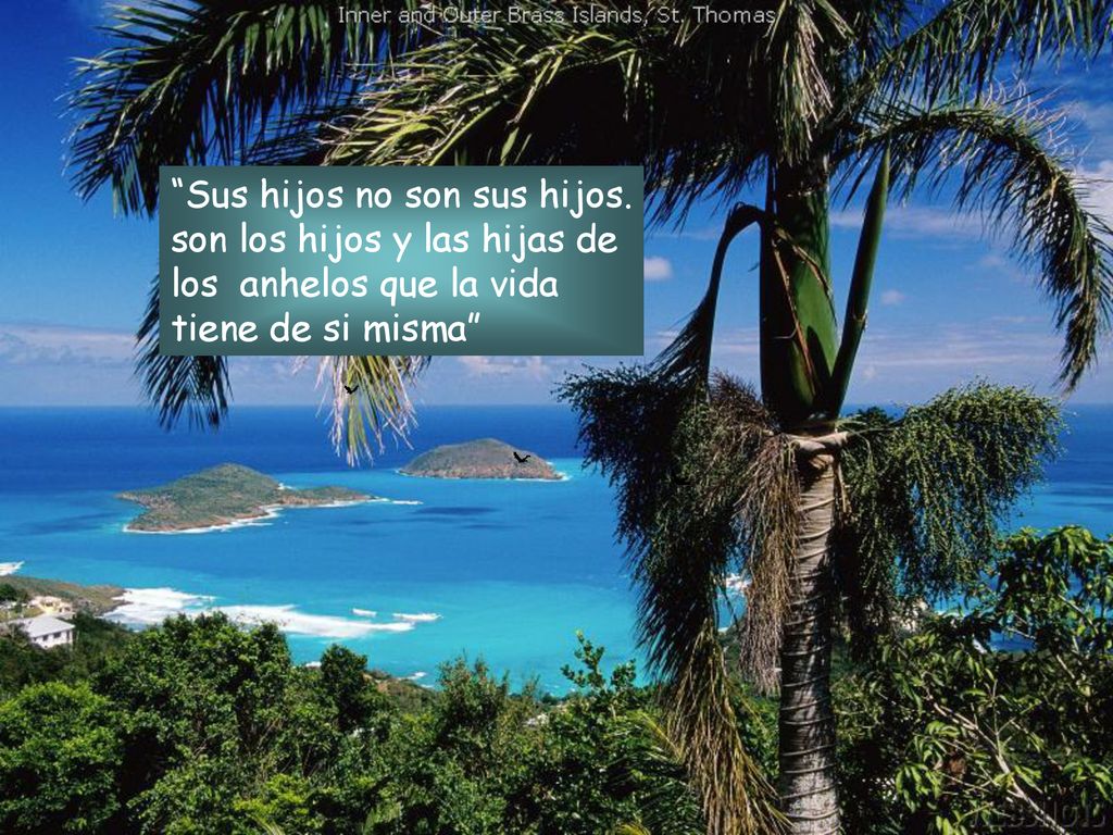 Sus hijos no son sus hijos. son los hijos y las hijas de