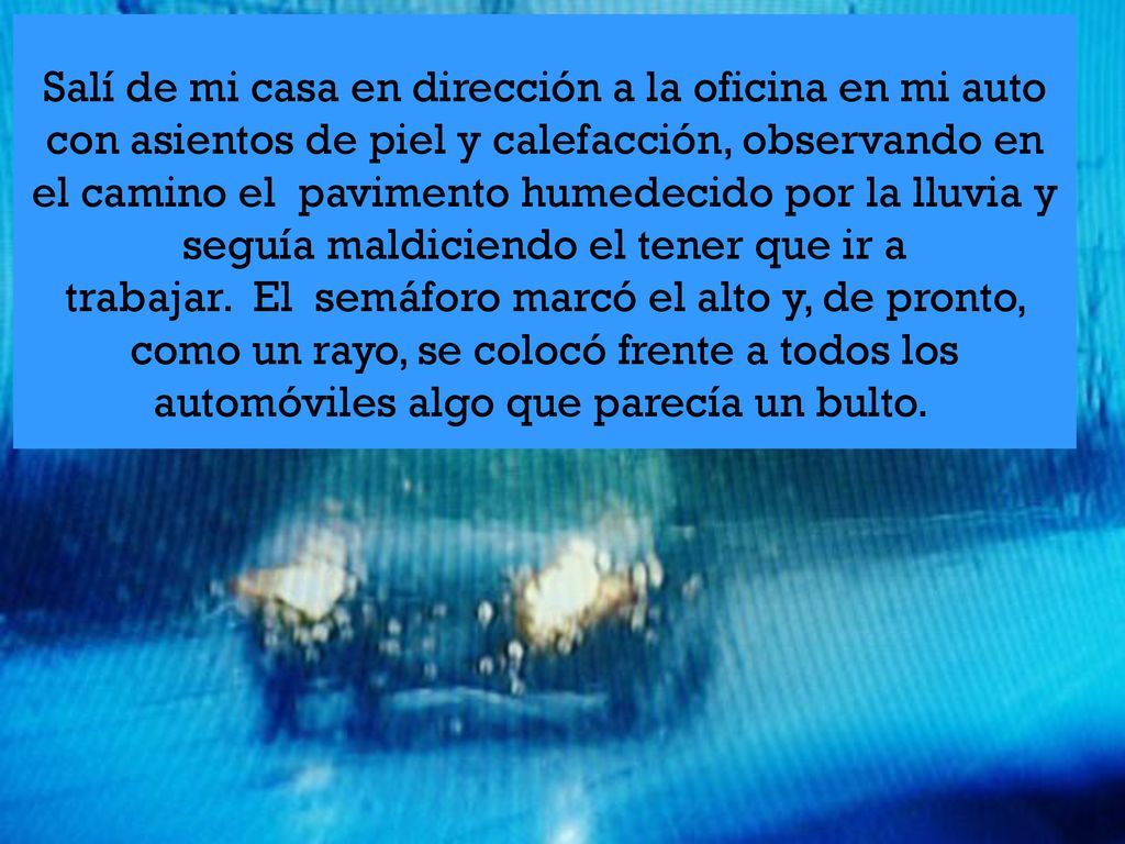 Salí de mi casa en dirección a la oficina en mi auto con asientos de piel y calefacción, observando en el camino el pavimento humedecido por la lluvia y seguía maldiciendo el tener que ir a trabajar. El semáforo marcó el alto y, de pronto, como un rayo, se colocó frente a todos los automóviles algo que parecía un bulto.