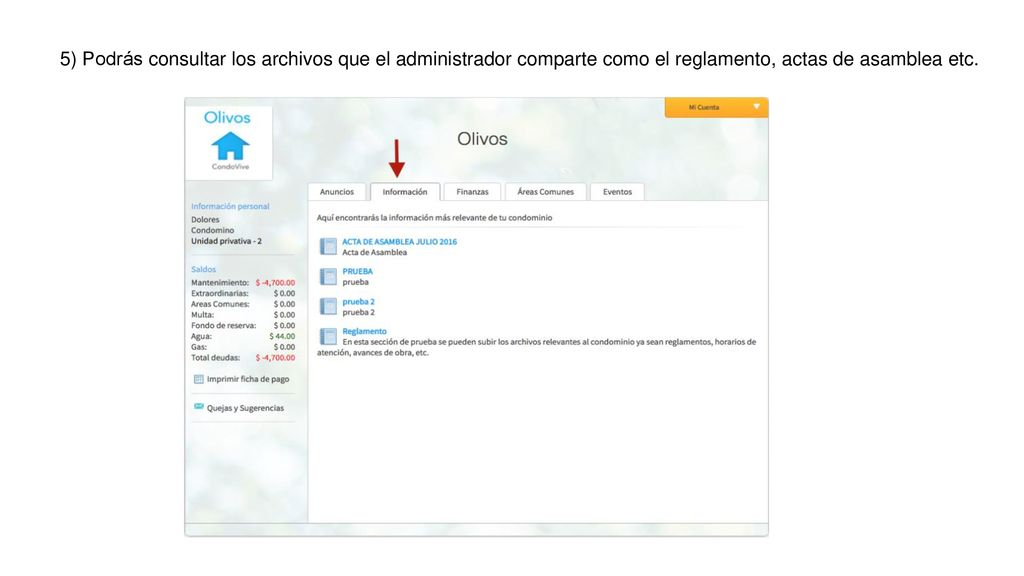 5) Podrás consultar los archivos que el administrador comparte como el reglamento, actas de asamblea etc.