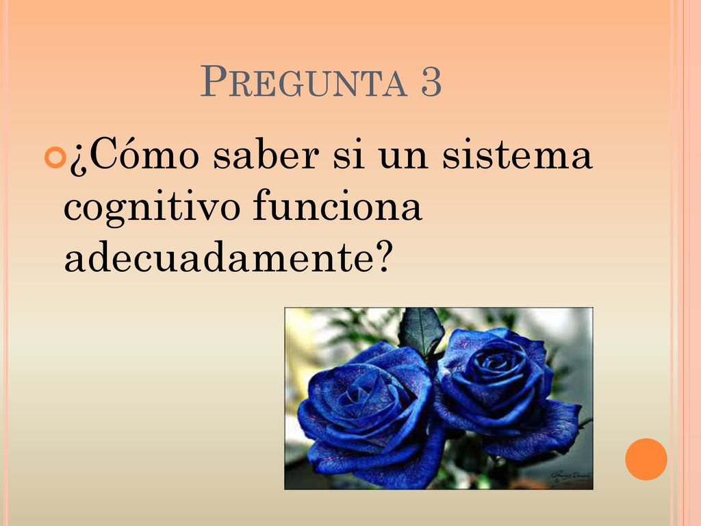 Pregunta 3 ¿Cómo saber si un sistema cognitivo funciona adecuadamente