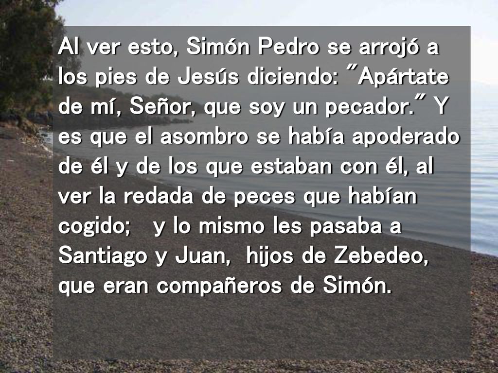 Al ver esto, Simón Pedro se arrojó a los pies de Jesús diciendo: Apártate de mí, Señor, que soy un pecador. Y es que el asombro se había apoderado de él y de los que estaban con él, al ver la redada de peces que habían cogido; y lo mismo les pasaba a Santiago y Juan, hijos de Zebedeo, que eran compañeros de Simón.