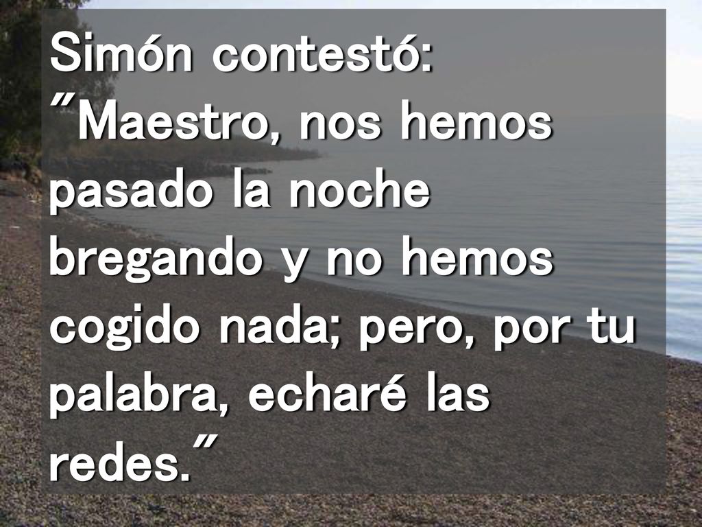 Simón contestó: Maestro, nos hemos pasado la noche bregando y no hemos cogido nada; pero, por tu palabra, echaré las redes.