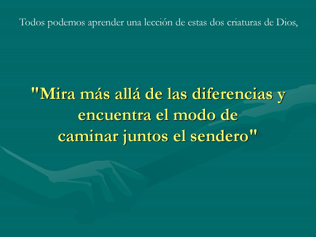Todos podemos aprender una lección de estas dos criaturas de Dios,