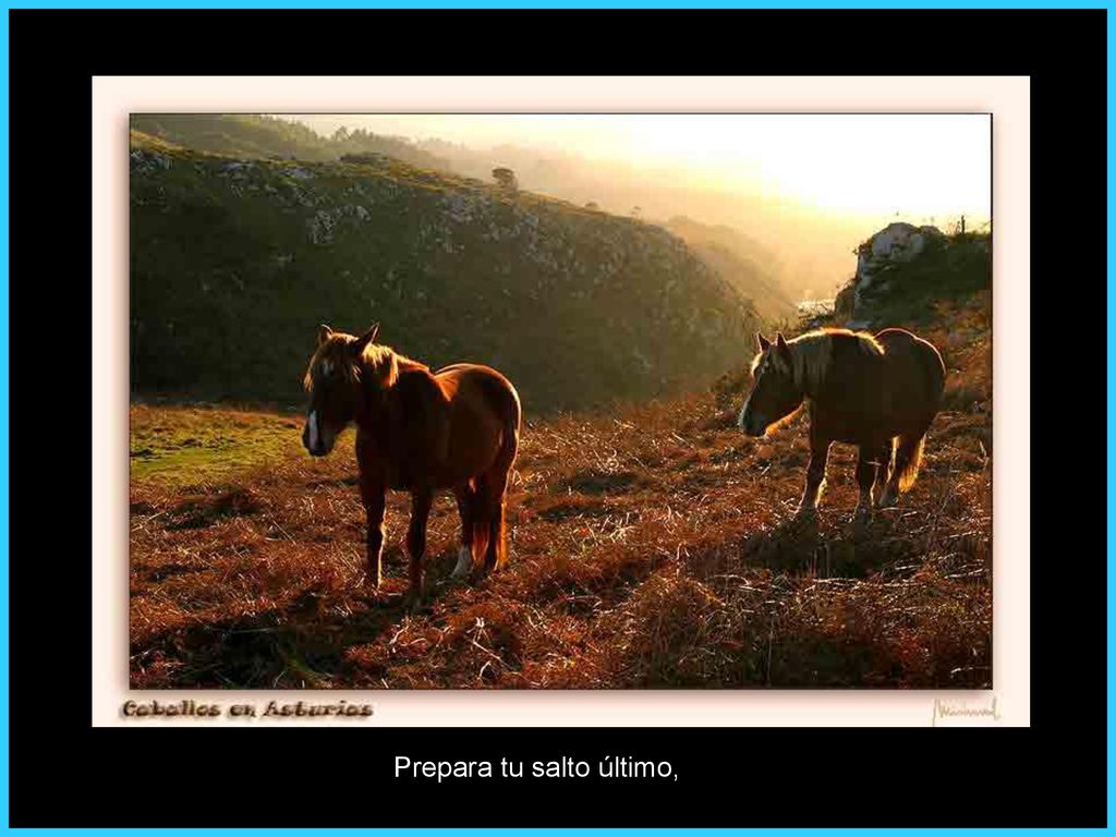 Prepara tu salto último,