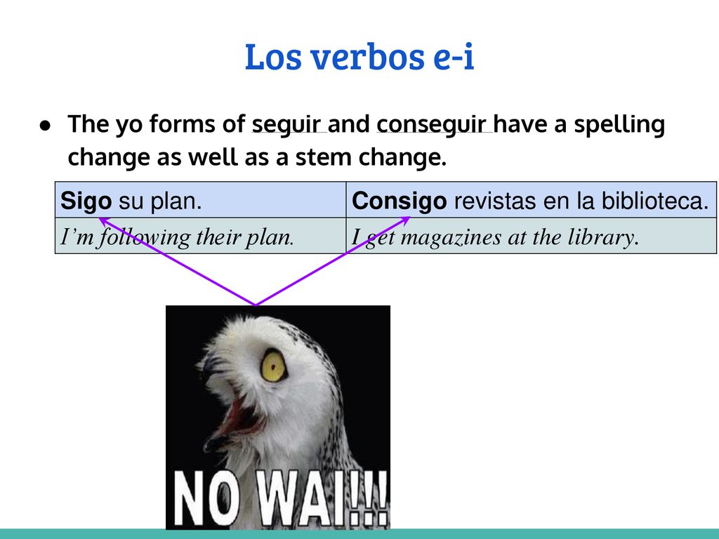 Los verbos e-i The yo forms of seguir and conseguir have a spelling change as well as a stem change.