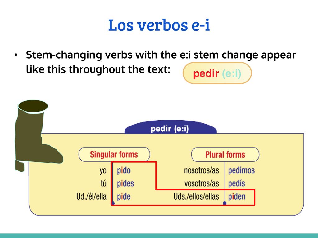 Los verbos e-i Stem-changing verbs with the e:i stem change appear like this throughout the text: pedir (e:i)