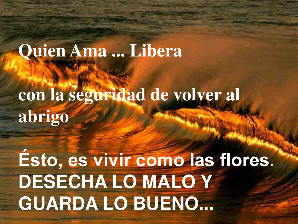 Quien Ama ... Libera con la seguridad de volver al abrigo.