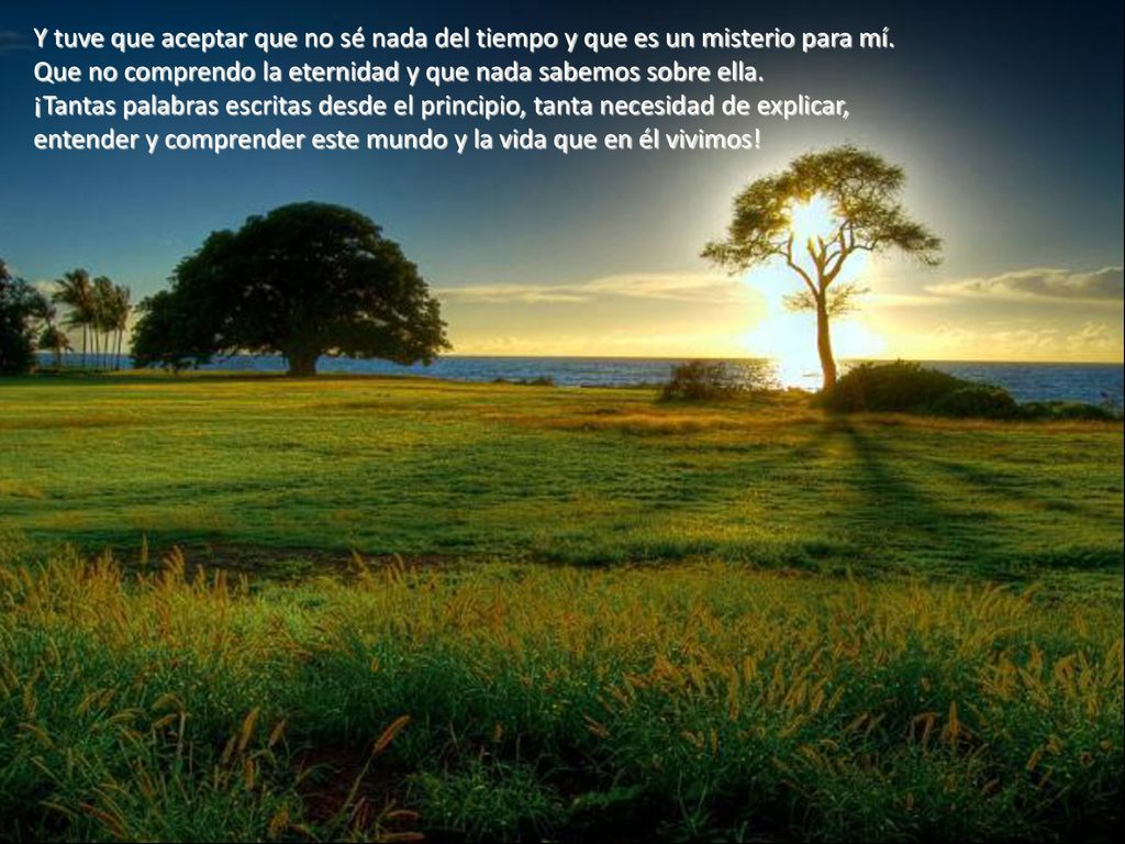 Y tuve que aceptar que no sé nada del tiempo y que es un misterio para mí. Que no comprendo la eternidad y que nada sabemos sobre ella.