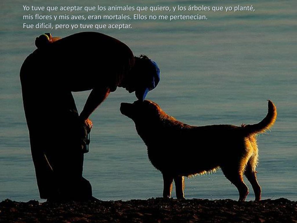 Yo tuve que aceptar que los animales que quiero, y los árboles que yo planté,
