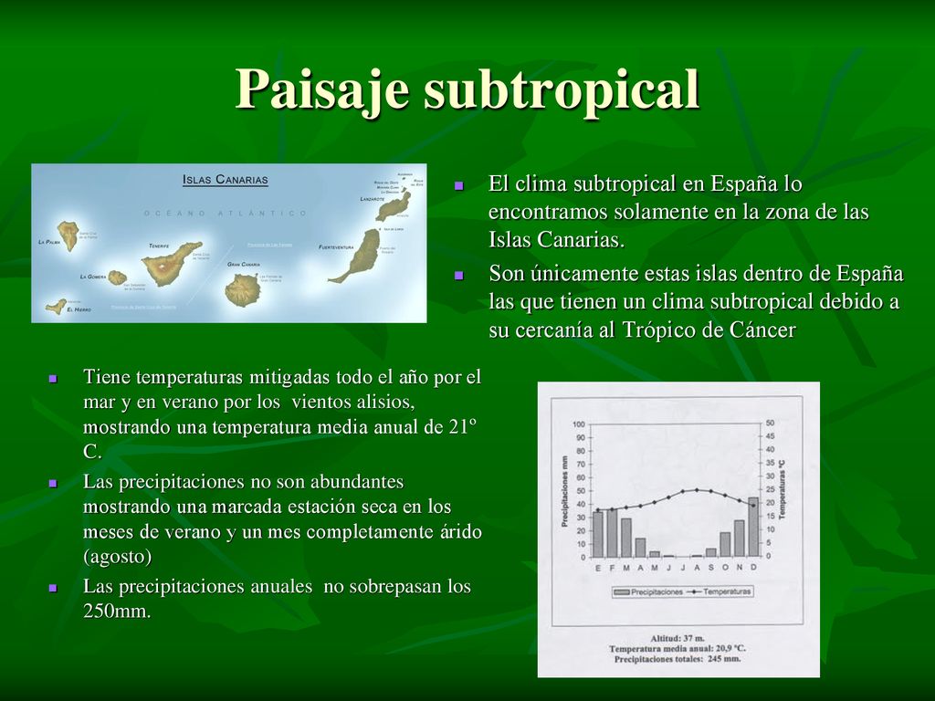 Paisaje subtropical El clima subtropical en España lo encontramos solamente en la zona de las Islas Canarias.