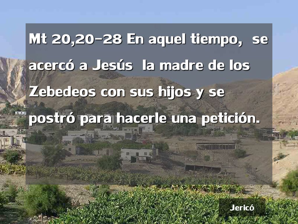 Mt 20,20-28 En aquel tiempo, se acercó a Jesús la madre de los Zebedeos con sus hijos y se postró para hacerle una petición.