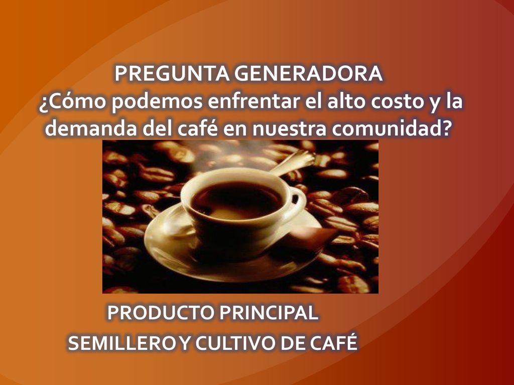 PRODUCTO PRINCIPAL SEMILLERO Y CULTIVO DE CAFÉ