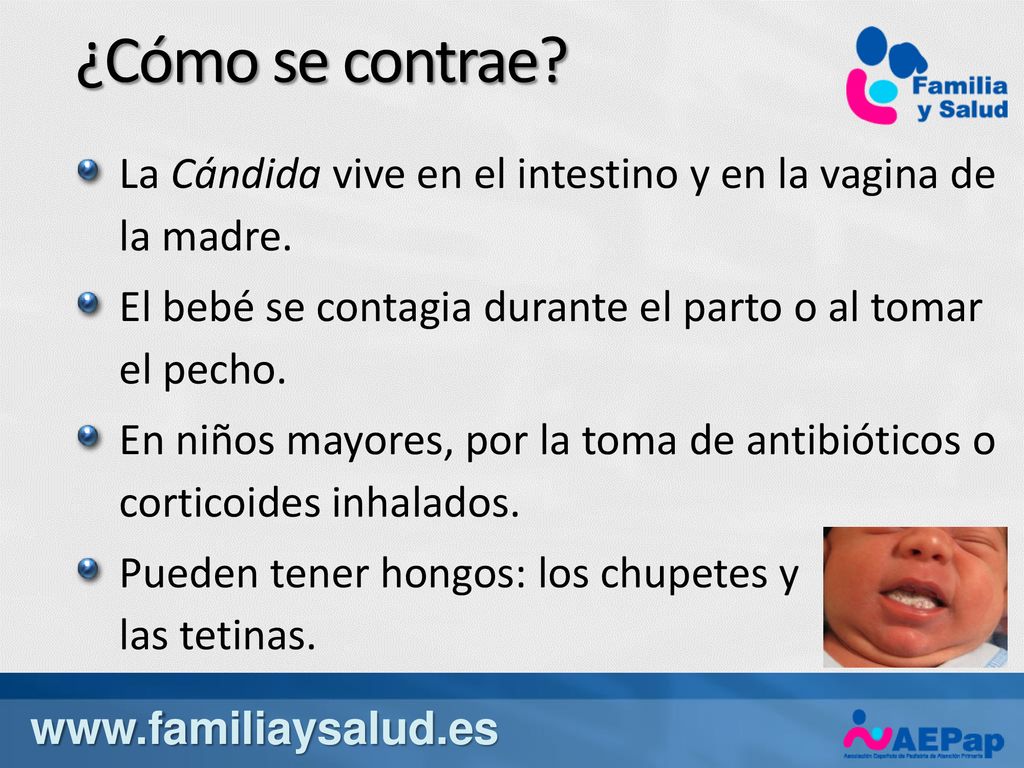 ¿Cómo se contrae La Cándida vive en el intestino y en la vagina de la madre. El bebé se contagia durante el parto o al tomar el pecho.
