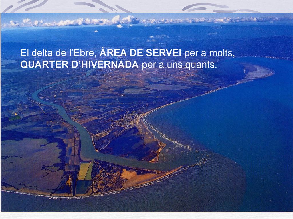 El delta de l’Ebre, ÀREA DE SERVEI per a molts, QUARTER D’HIVERNADA per a uns quants.