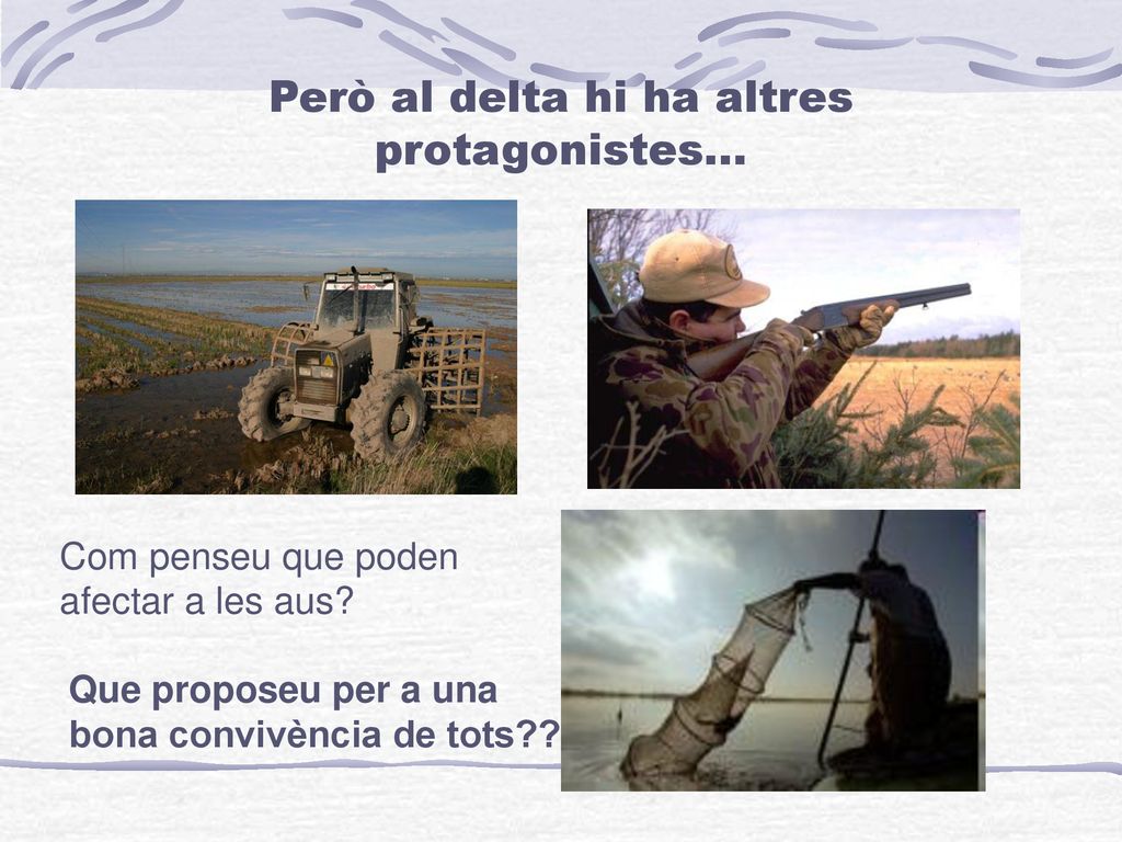 Però al delta hi ha altres protagonistes...