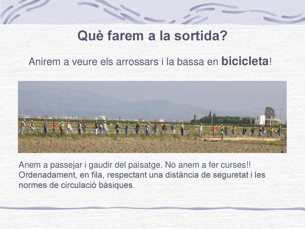 Anirem a veure els arrossars i la bassa en bicicleta!