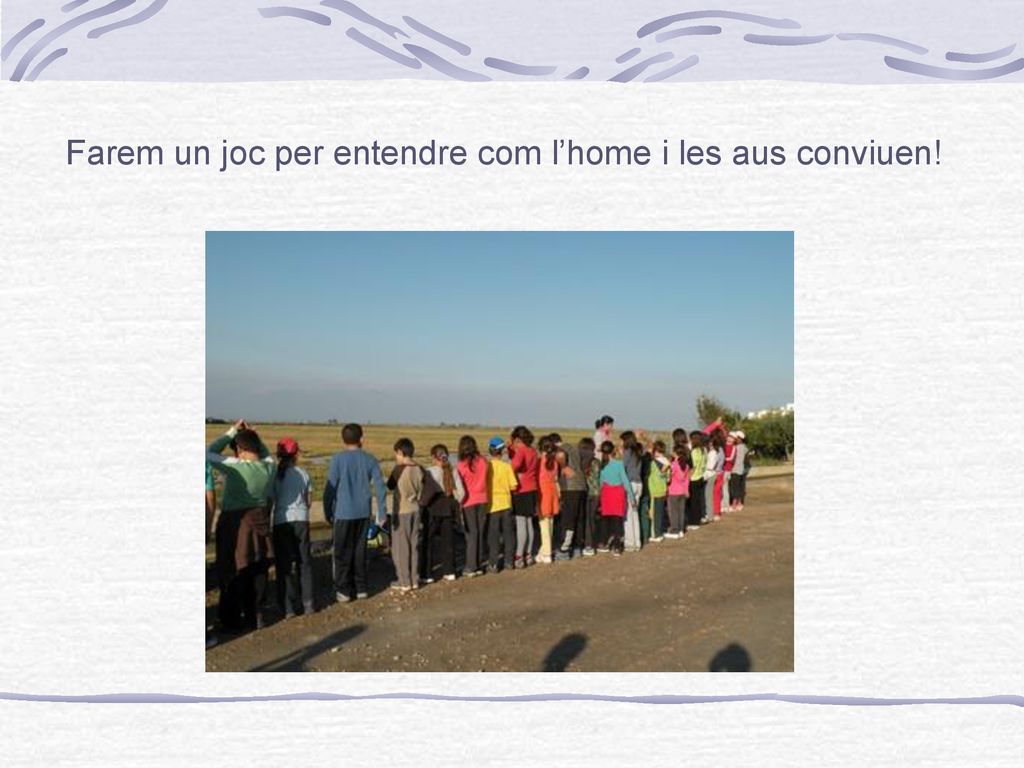 Farem un joc per entendre com l’home i les aus conviuen!