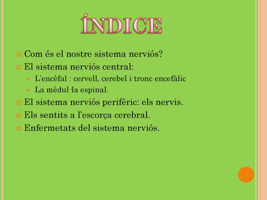 ÍNDICE Com és el nostre sistema nerviós El sistema nerviós central: