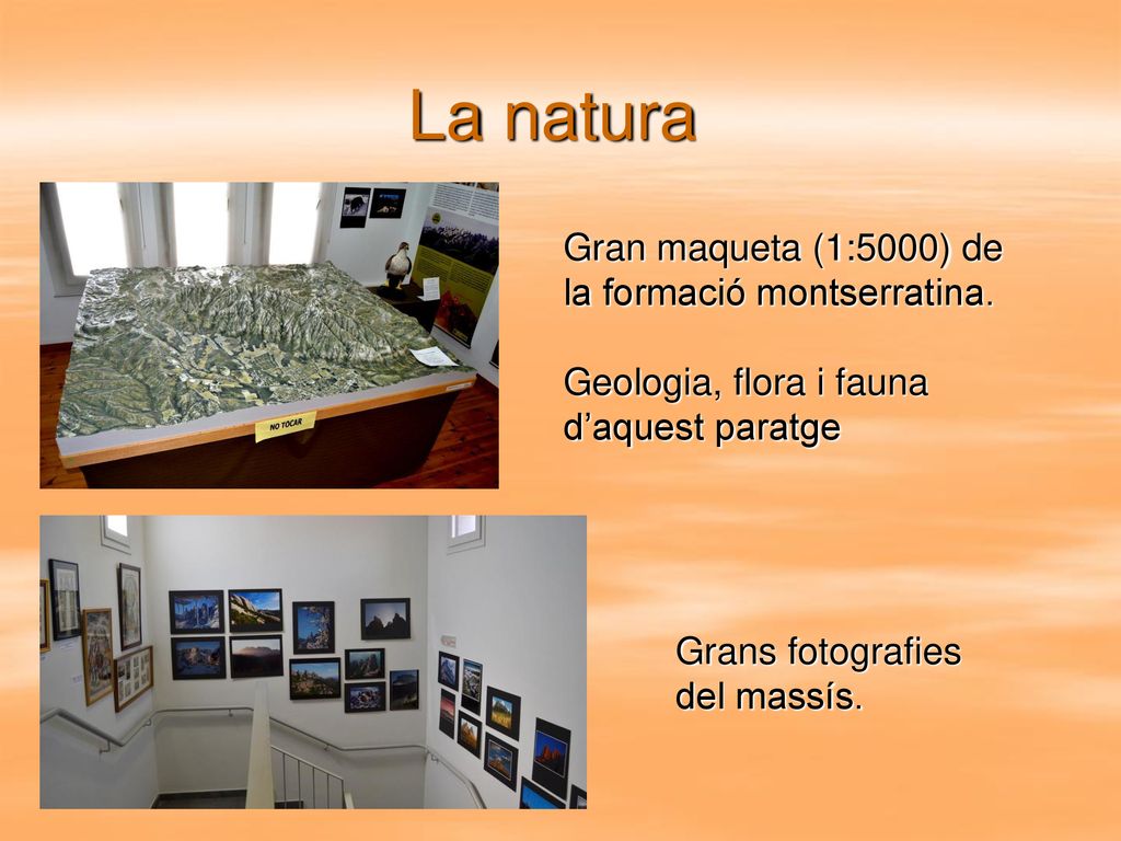 La natura Gran maqueta (1:5000) de la formació montserratina.