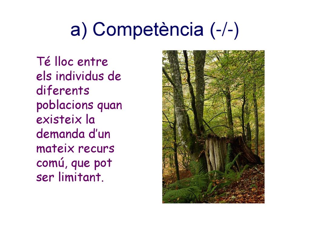 a) Competència (-/-) Té lloc entre els individus de diferents poblacions quan existeix la demanda d’un mateix recurs comú, que pot ser limitant.