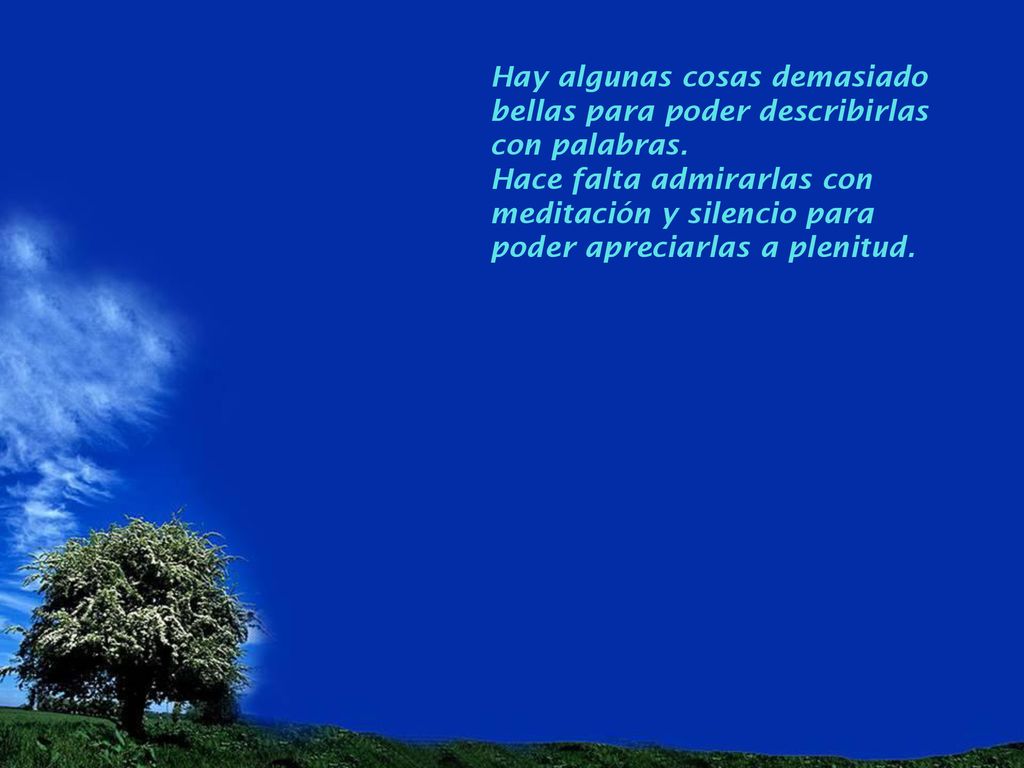 Hay algunas cosas demasiado bellas para poder describirlas con palabras.