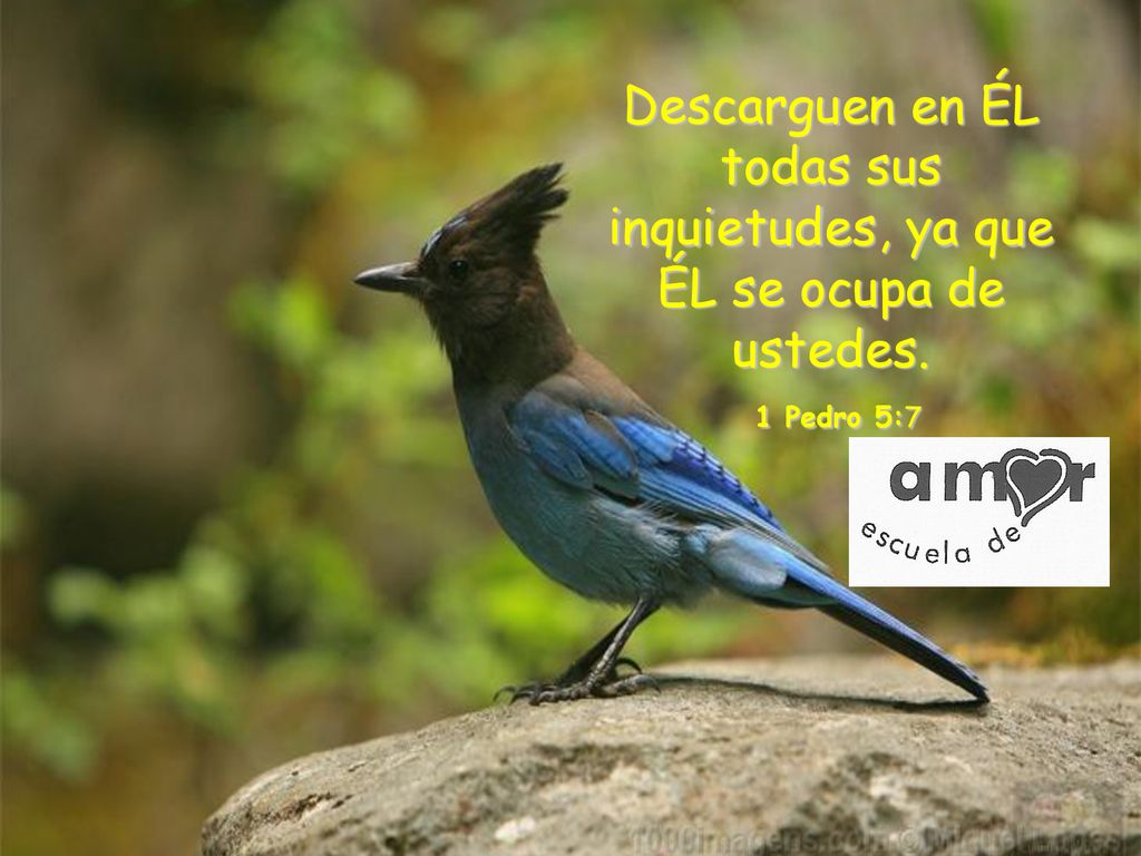 Descarguen en ÉL todas sus inquietudes, ya que ÉL se ocupa de ustedes