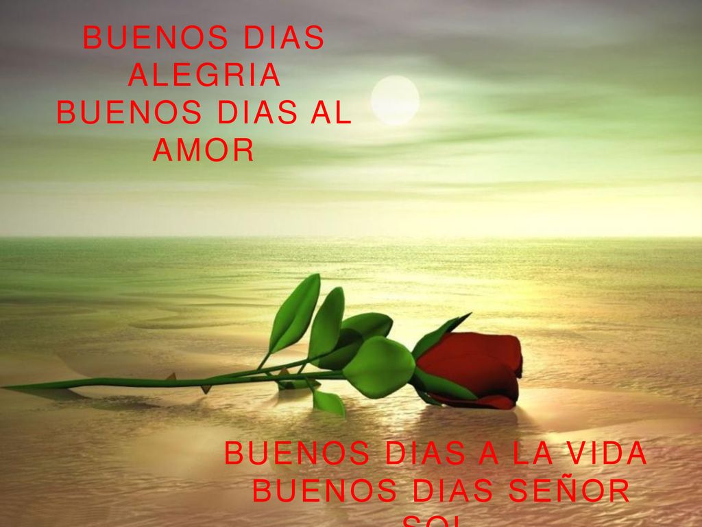 BUENOS DIAS ALEGRIA BUENOS DIAS AL AMOR BUENOS DIAS A LA VIDA BUENOS DIAS SEÑOR SOL