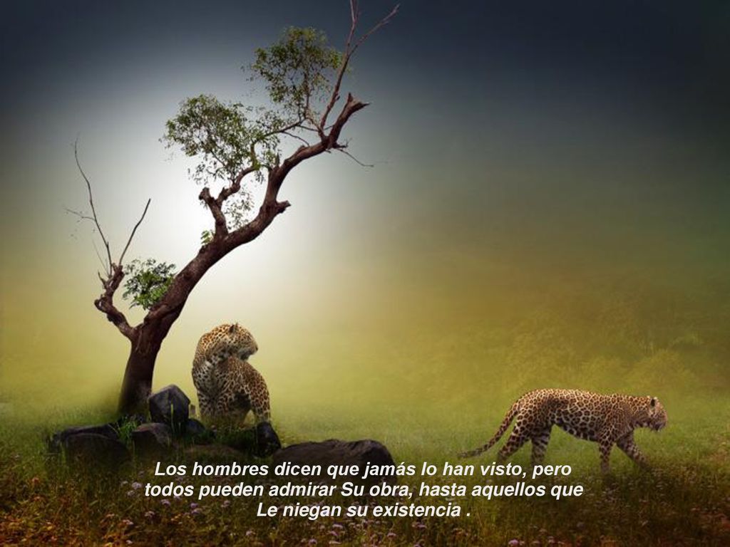 Los hombres dicen que jamás lo han visto, pero todos pueden admirar Su obra, hasta aquellos que Le niegan su existencia .